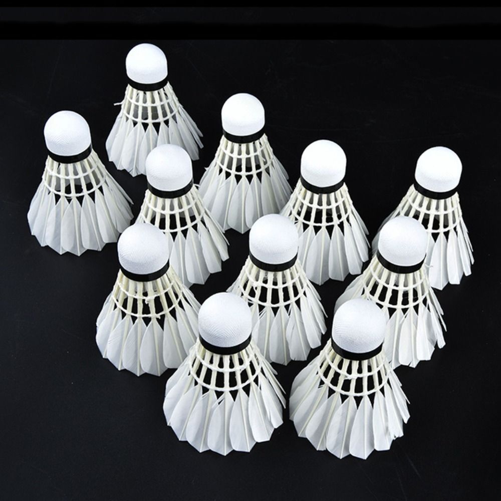 3/6/12 قطعة من كرات الريشة الب - مراجعة Feather Shuttlecock وسعره