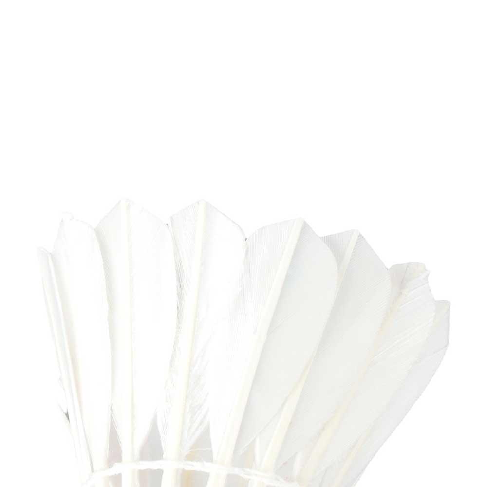 كرة بادمنتون رياضية مرنة من ال - مراجعة Feather Shuttlecock وسعره