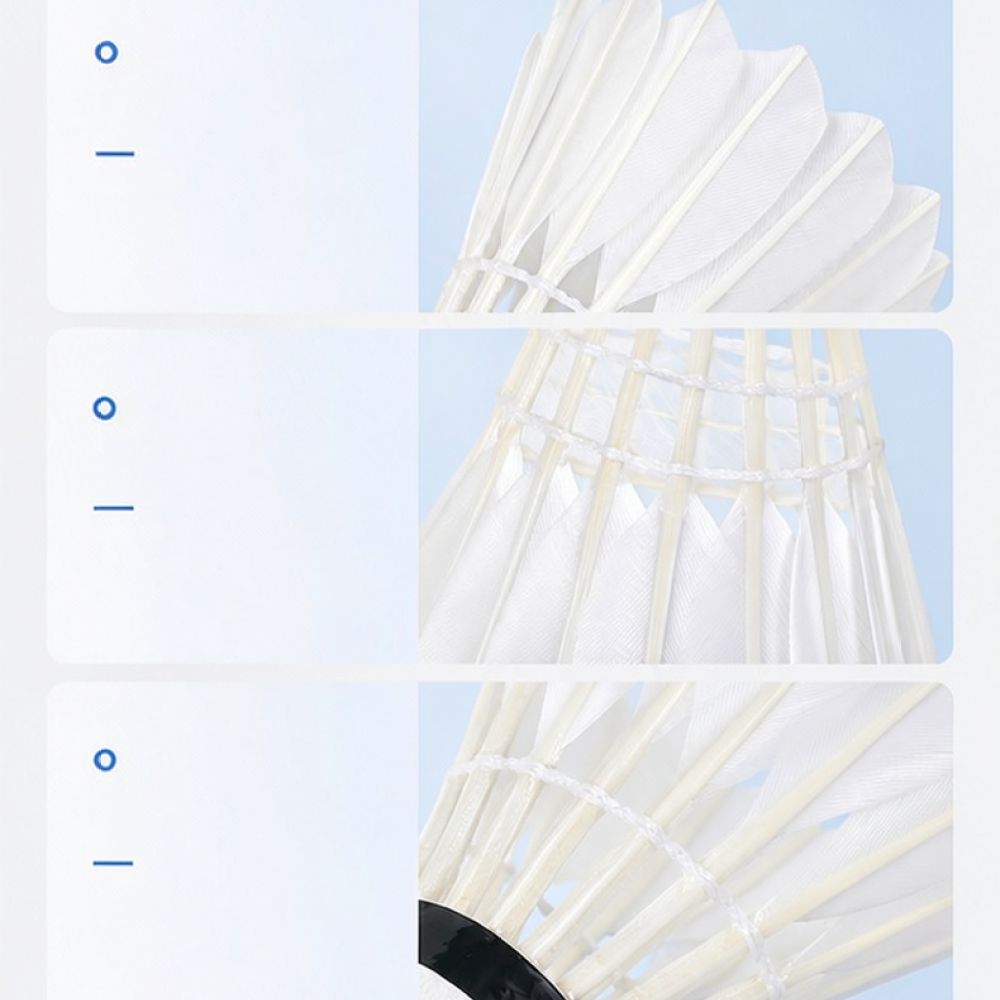 كرة بادمنتون احترافية مصنوعة م - مراجعة Feather Shuttlecock وسعره