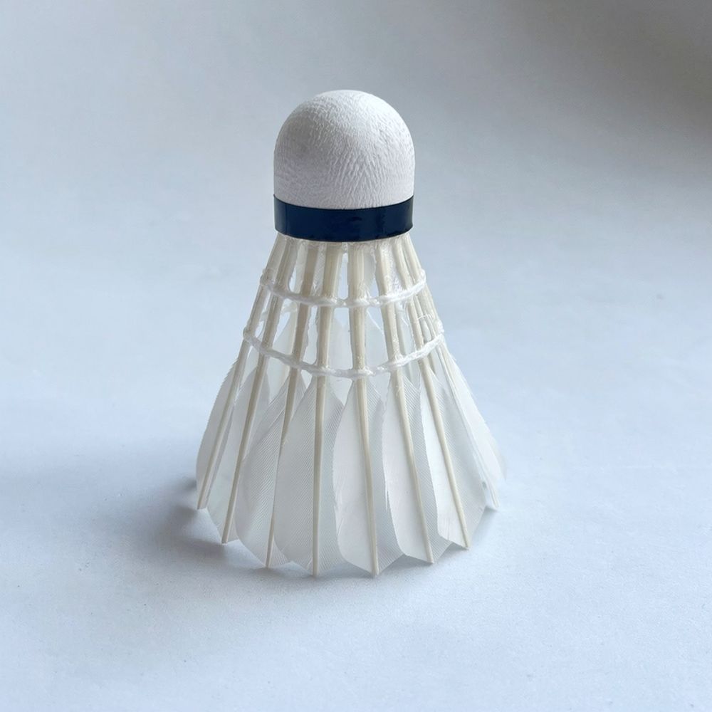 كرة بادمنتون احترافية مصنوعة م - مراجعة Feather Shuttlecock وسعره