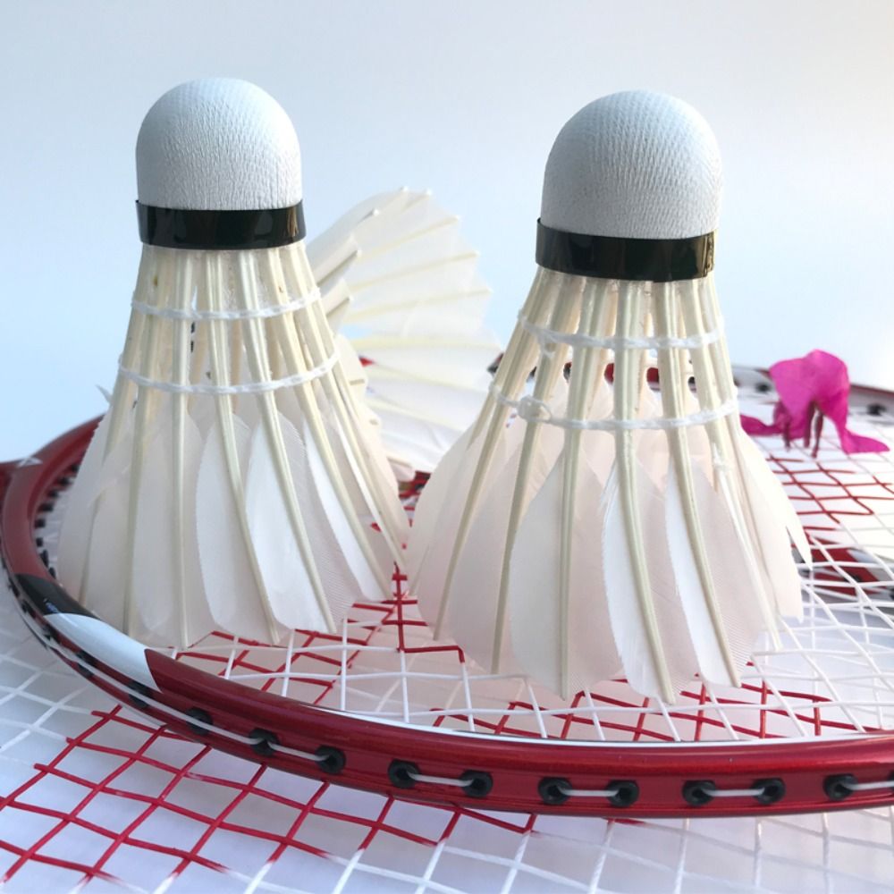 ريشة بدمينتون جديدة من ريش الإ - مراجعة Feather Shuttlecock وسعره